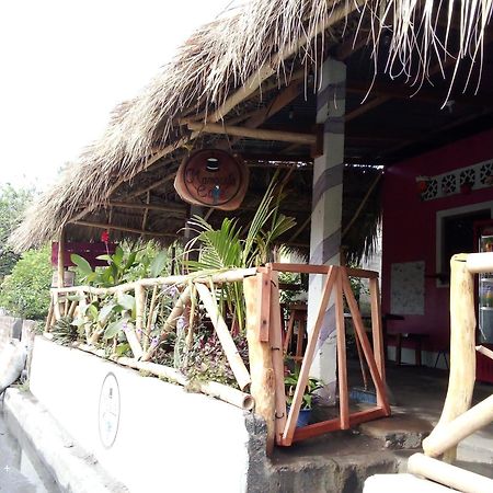 ホテル Mamacita Cafe House モヨガルパ エクステリア 写真