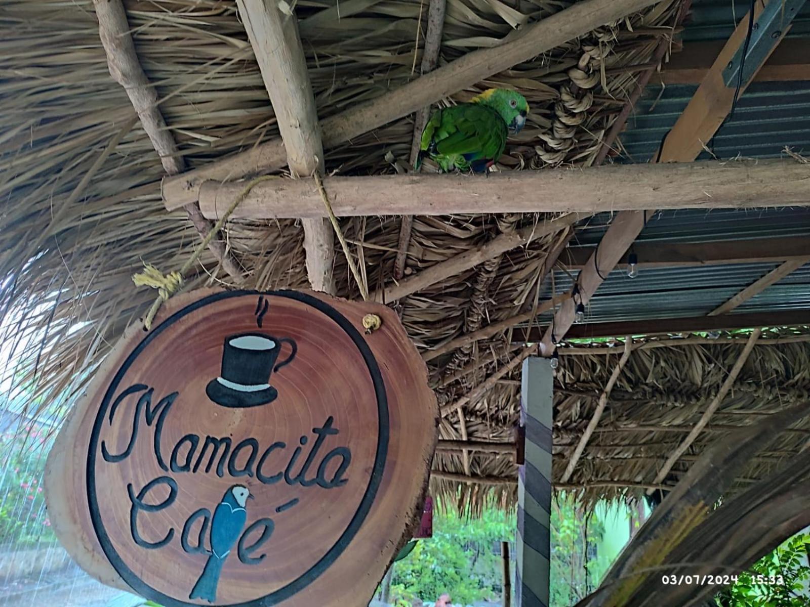 ホテル Mamacita Cafe House モヨガルパ エクステリア 写真