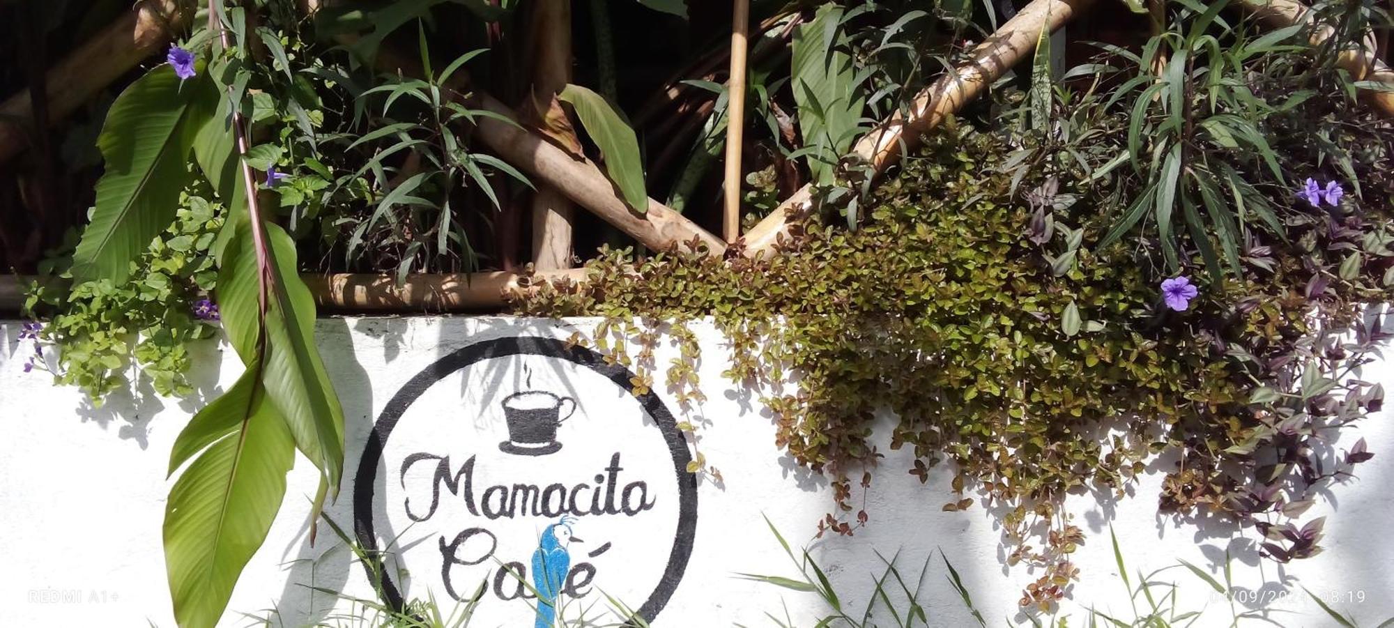 ホテル Mamacita Cafe House モヨガルパ エクステリア 写真